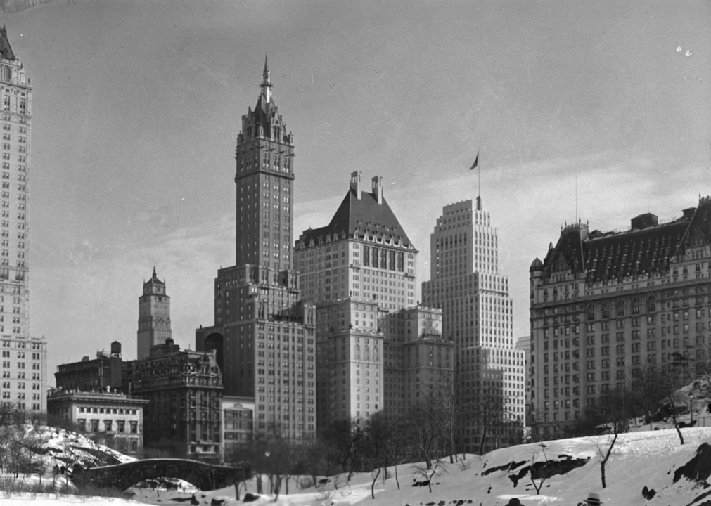 Savoy Plaza Hotel: NYC